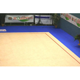 Гимнастический ковер 11х11м